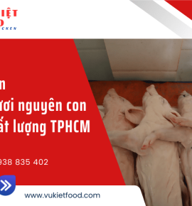 Giới thiệu địa chỉ bán heo sữa tươi nguyên con TPHCM