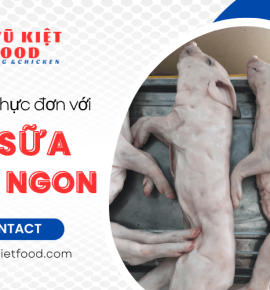 Làm mới thực đơn với heo sữa tươi ngon, chất lượng tại Vũ Kiệt Food