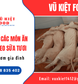 Tổng hợp các món ăn từ thịt heo sữa tươi cho bữa cơm gia đình 