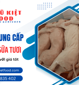Vì sao heo sữa tươi được nhiều người tiêu dùng ưa chuộng?