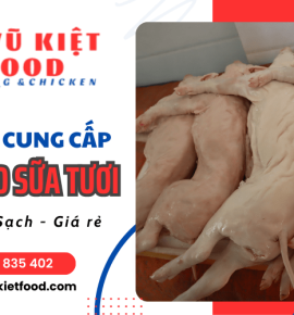 Vũ Kiệt Food chuyên cung cấp thịt heo sữa tươi ngon, sạch, giá rẻ