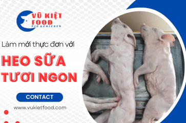 Làm mới thực đơn với heo sữa tươi ngon, chất lượng tại Vũ Kiệt Food