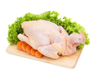 Gà tươi sống nguyên con