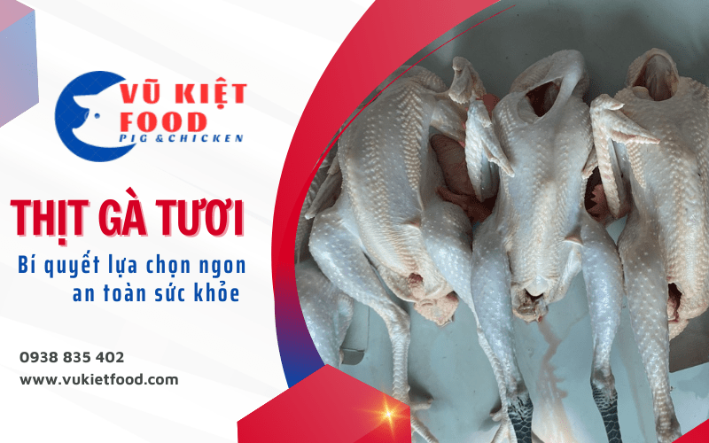thịt gà tươi