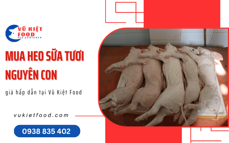 heo sữa tươi nguyên con