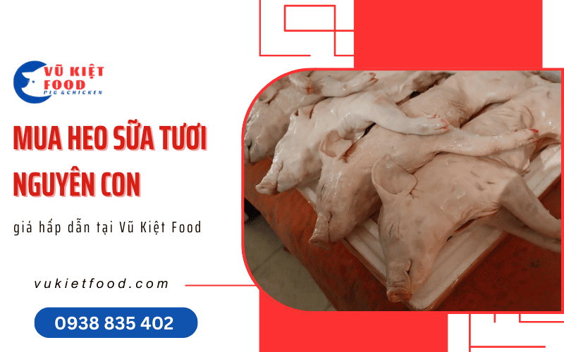 heo sữa tươi nguyên con
