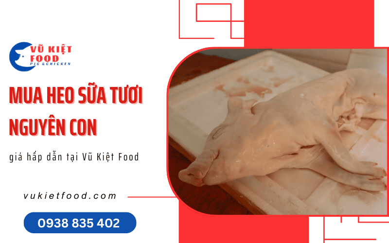 heo sữa tươi nguyên con