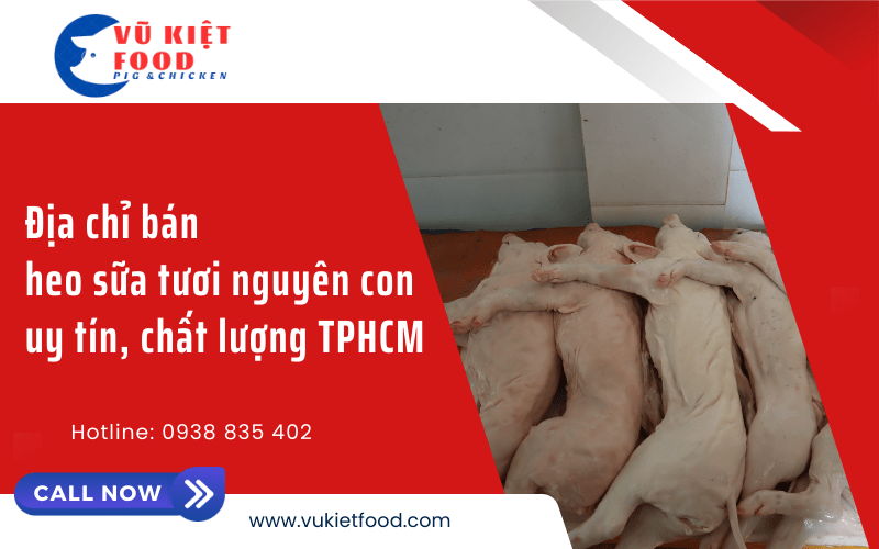 heo sữa tươi nguyên con