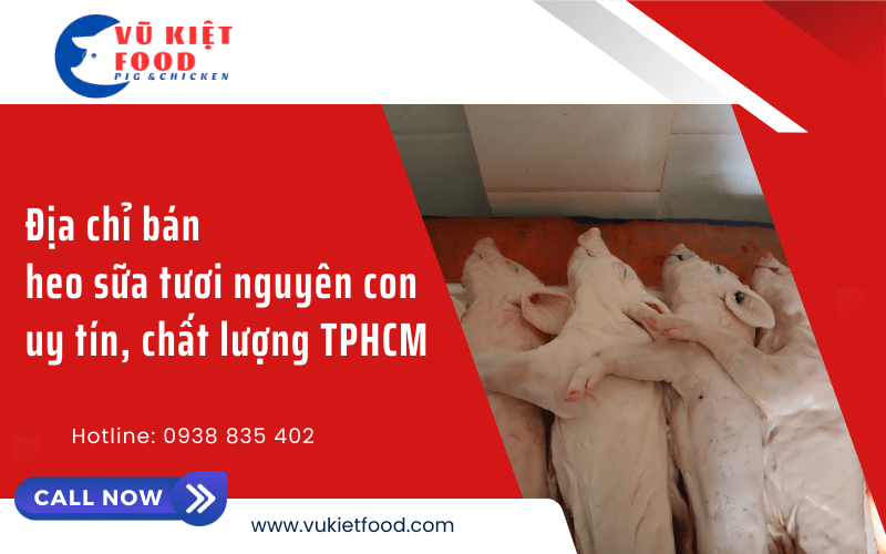 heo sữa tươi nguyên con
