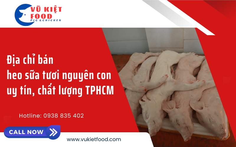 heo sữa tươi nguyên con