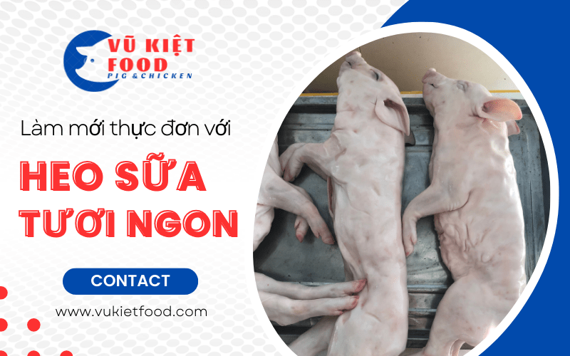 heo sữa tươi ngon