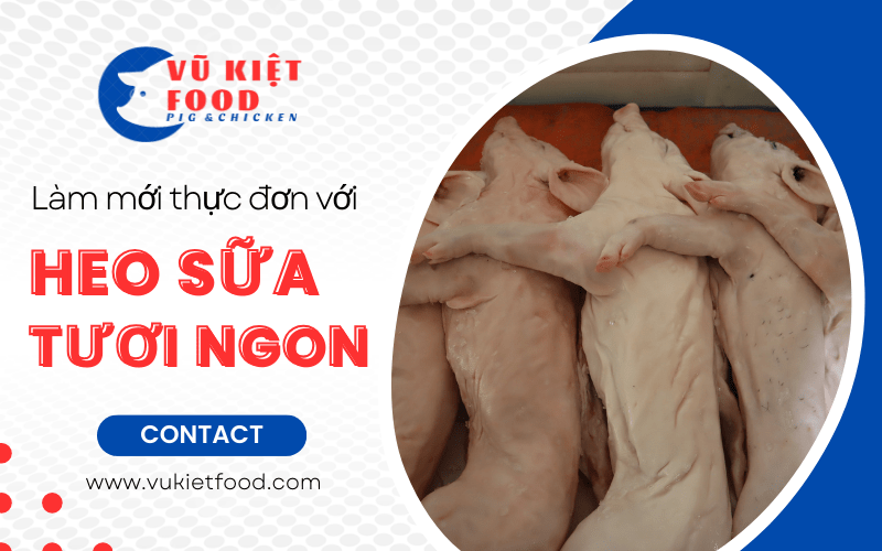 heo sữa tươi ngon