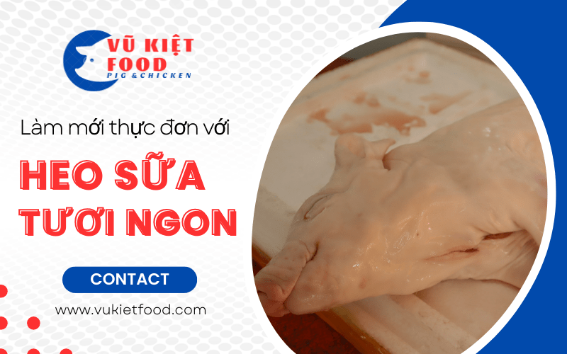 heo sữa tươi ngon