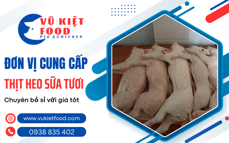 heo sữa tươi